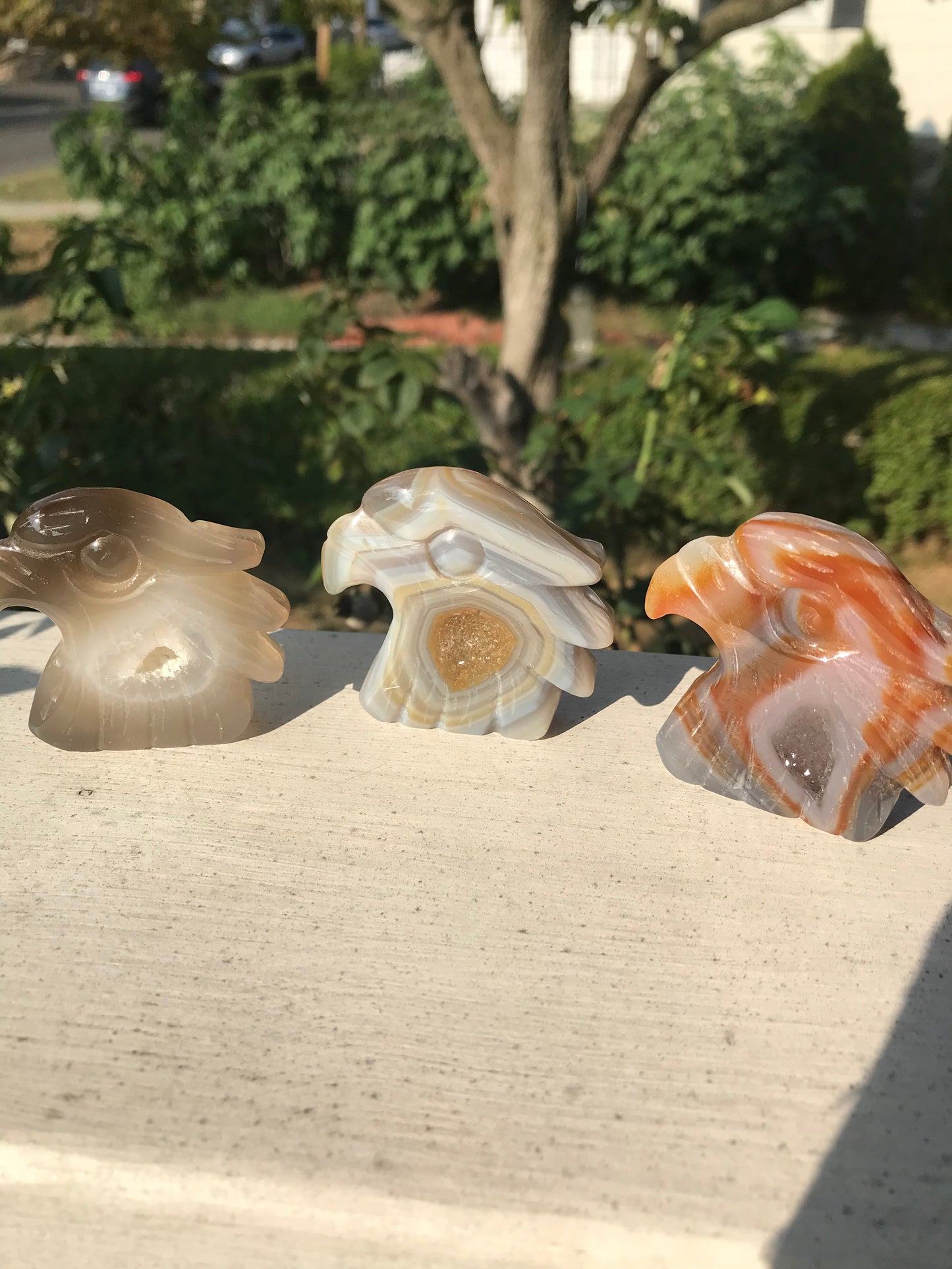 Druzy Agate Eagle Heads