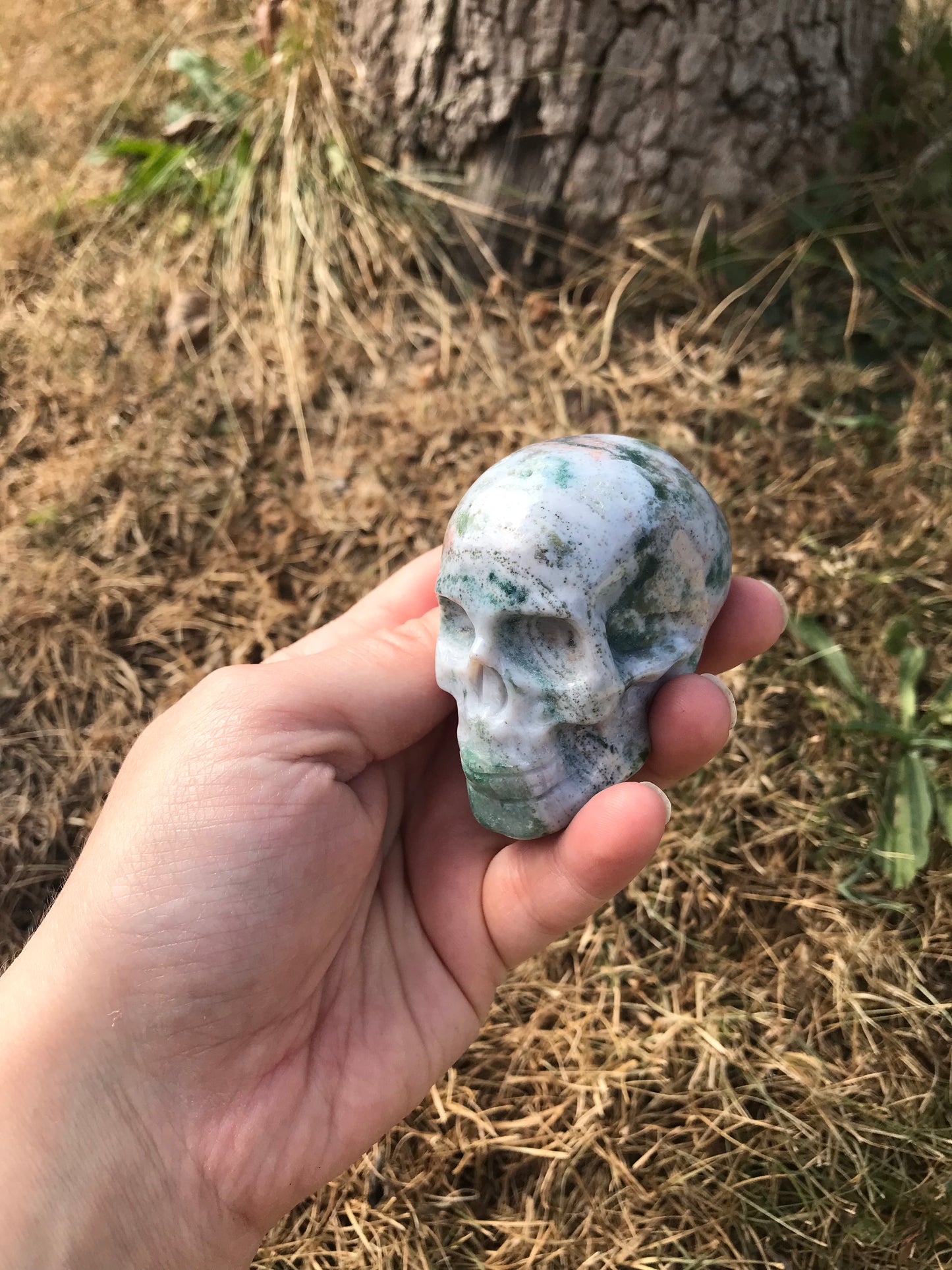 Oceanic Jasper (oj) Skull