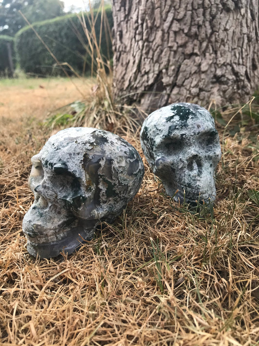 Moss Agate skulls