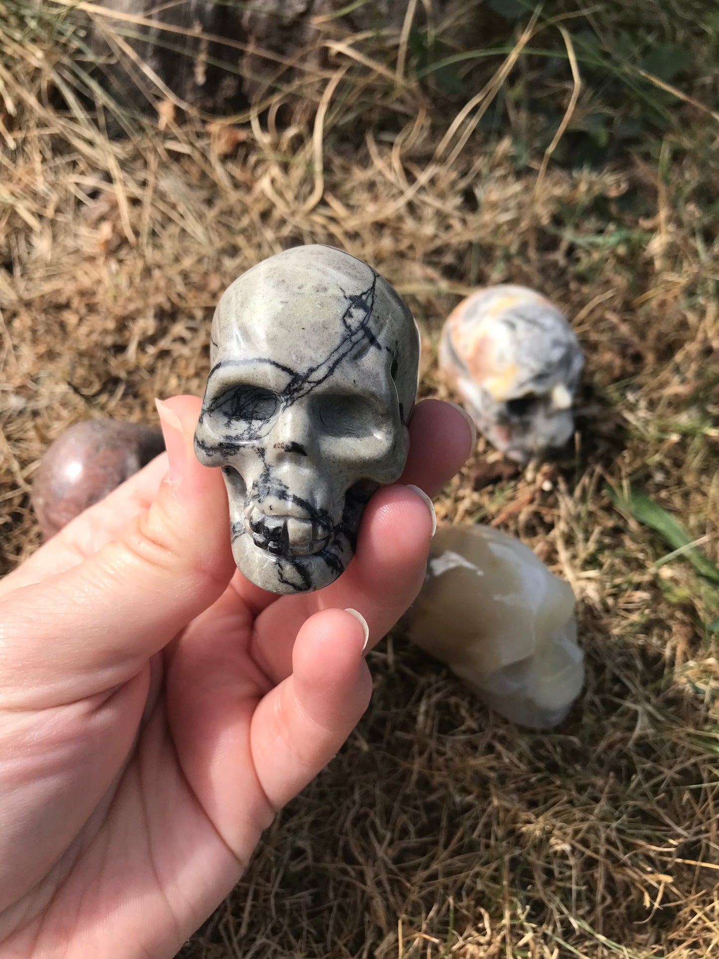 Spider Web Jasper Skull