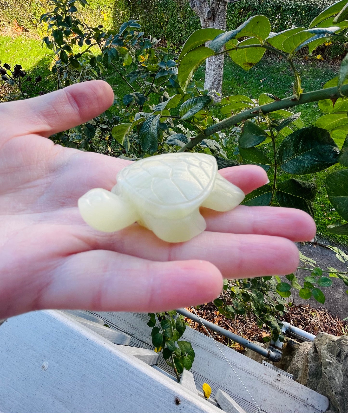 Green Onyx Sea Turtle