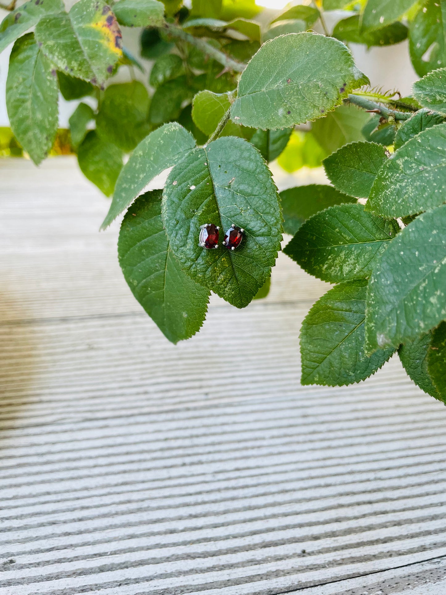 Garnet Earrings