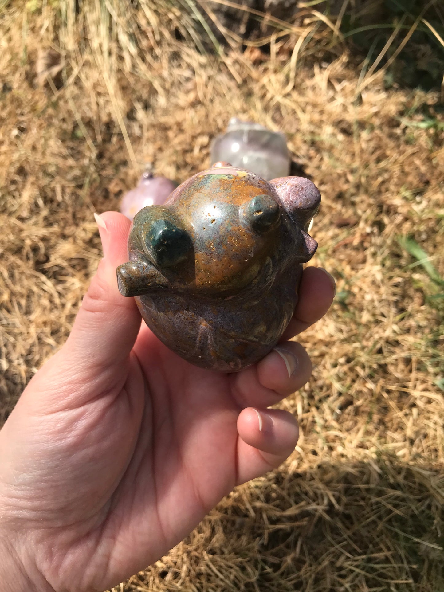 Oceanic Jasper (oj) Human Heart