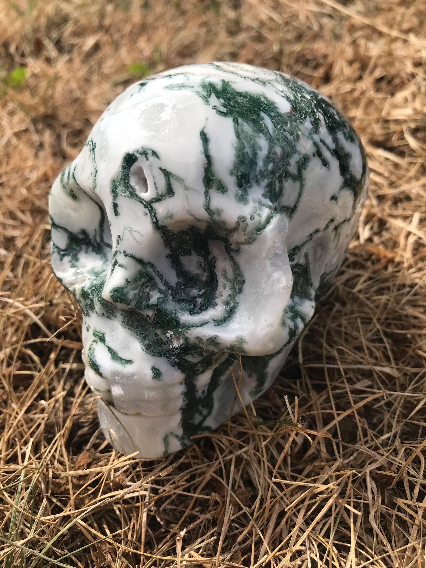 Moss Agate skull