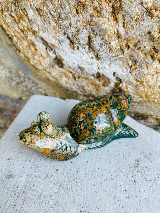 Oceanic Jasper (oj) Snail