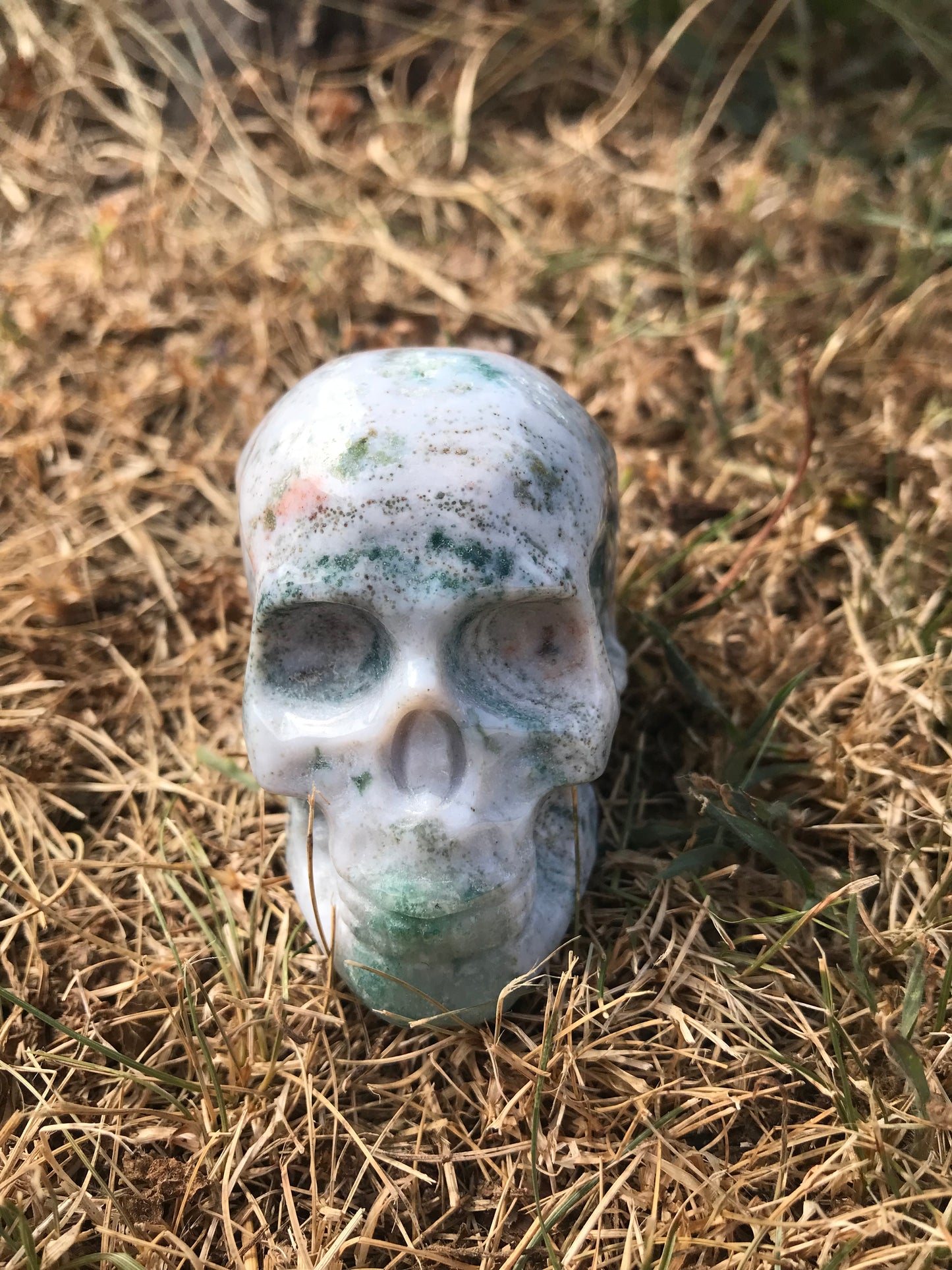 Oceanic Jasper (oj) Skull