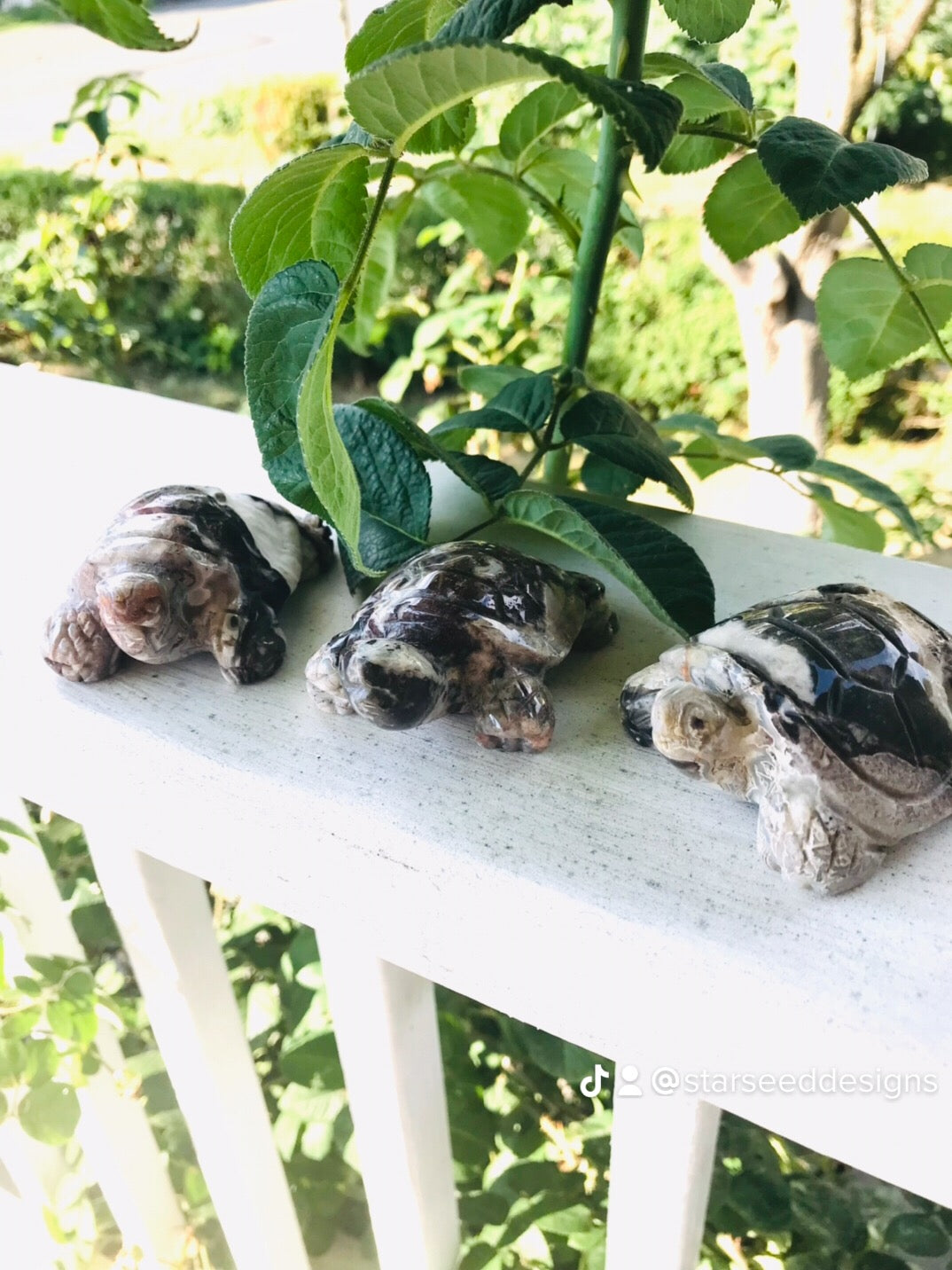 Mexican Crazy Lace Agate Turtles