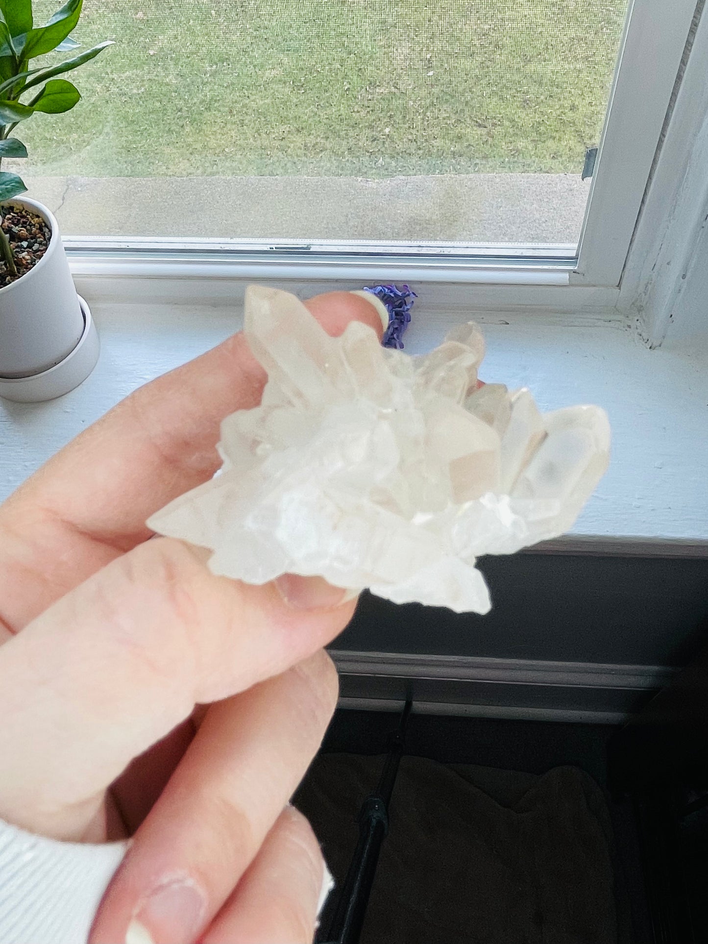 Clear Quartz Cluster