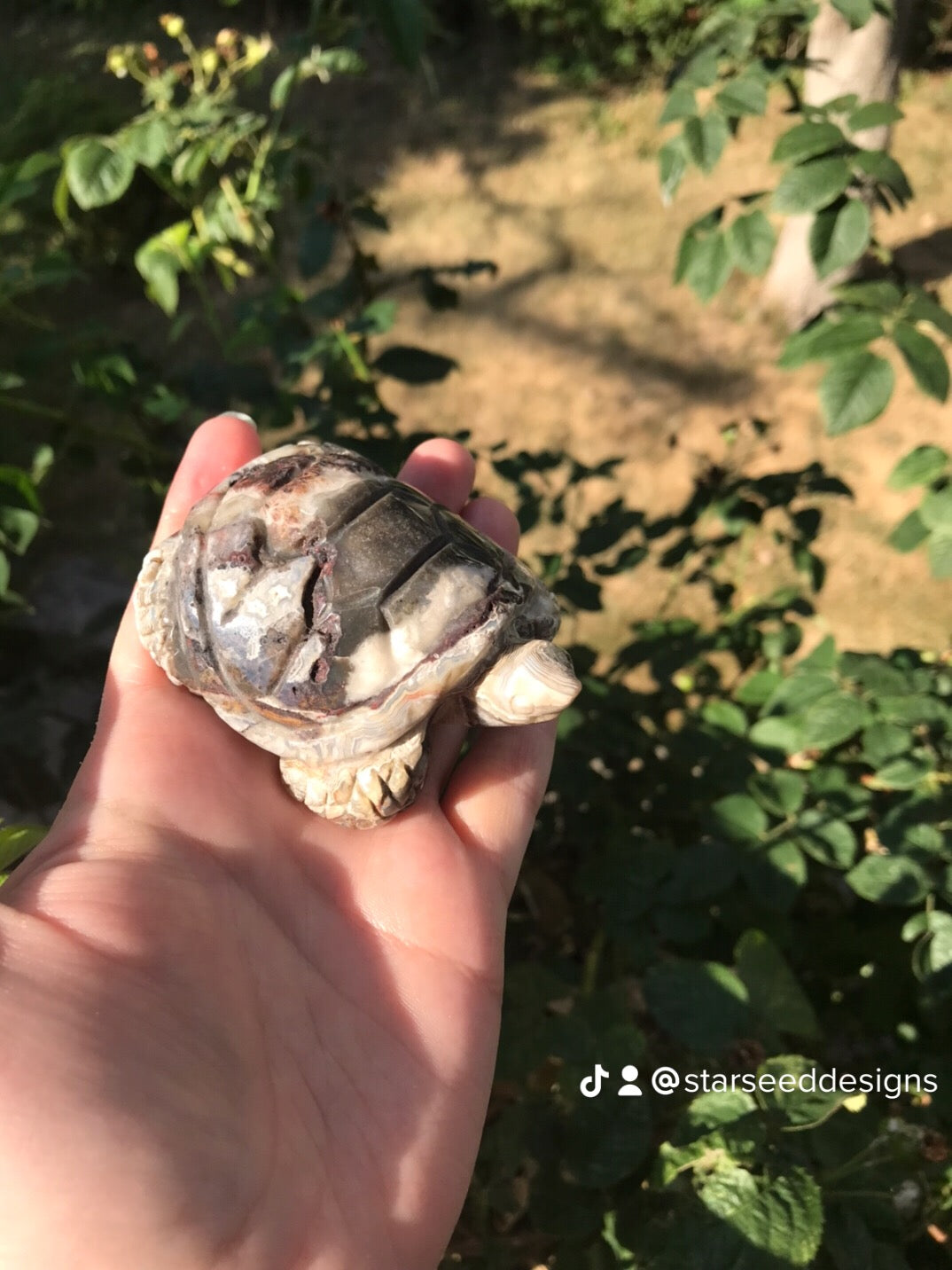 Mexican Crazy Lace Agate Turtles