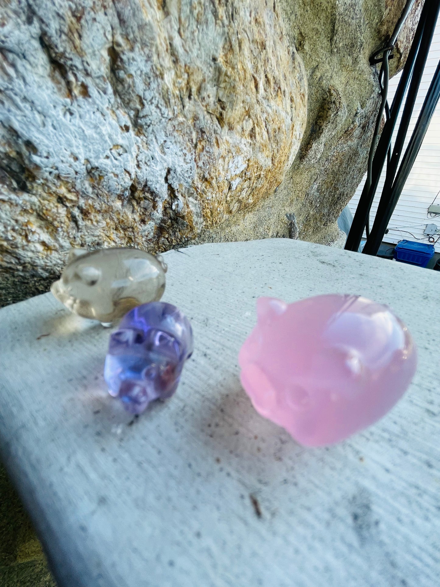 Crystal Pigs