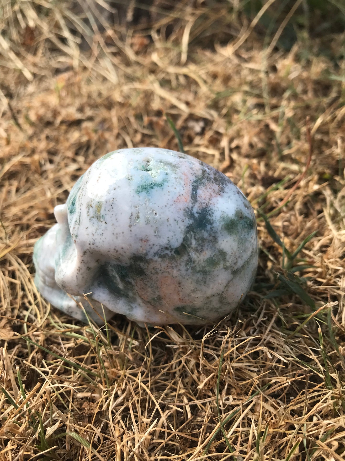 Oceanic Jasper (oj) Skull