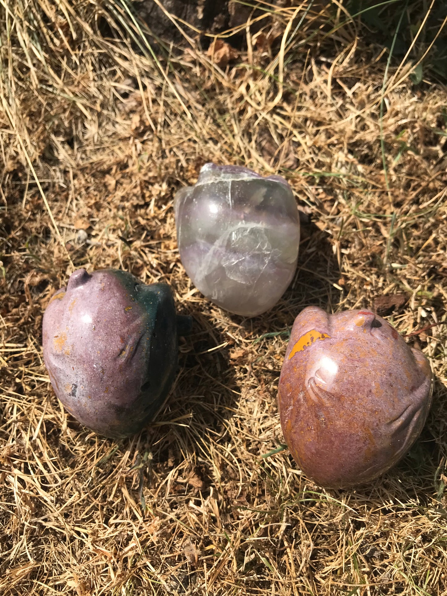 Oceanic Jasper (oj) Human Heart