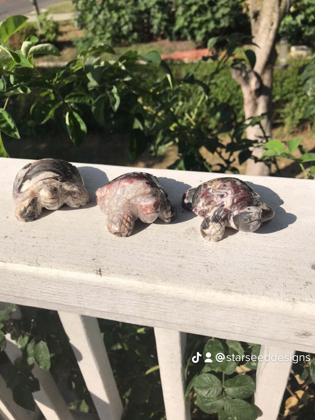 Mexican Crazy Lace Agate Turtles