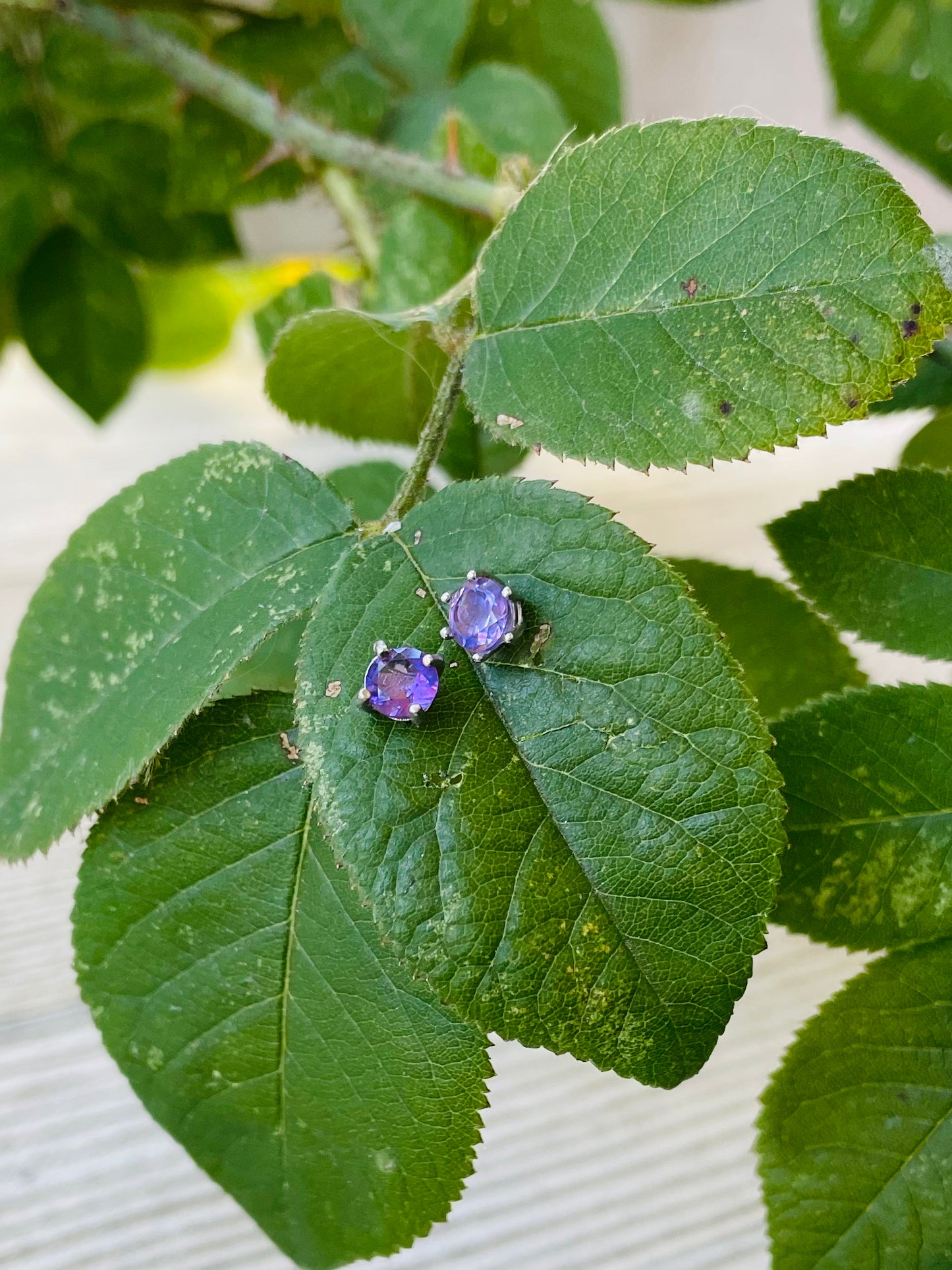 Amethyst Earrings