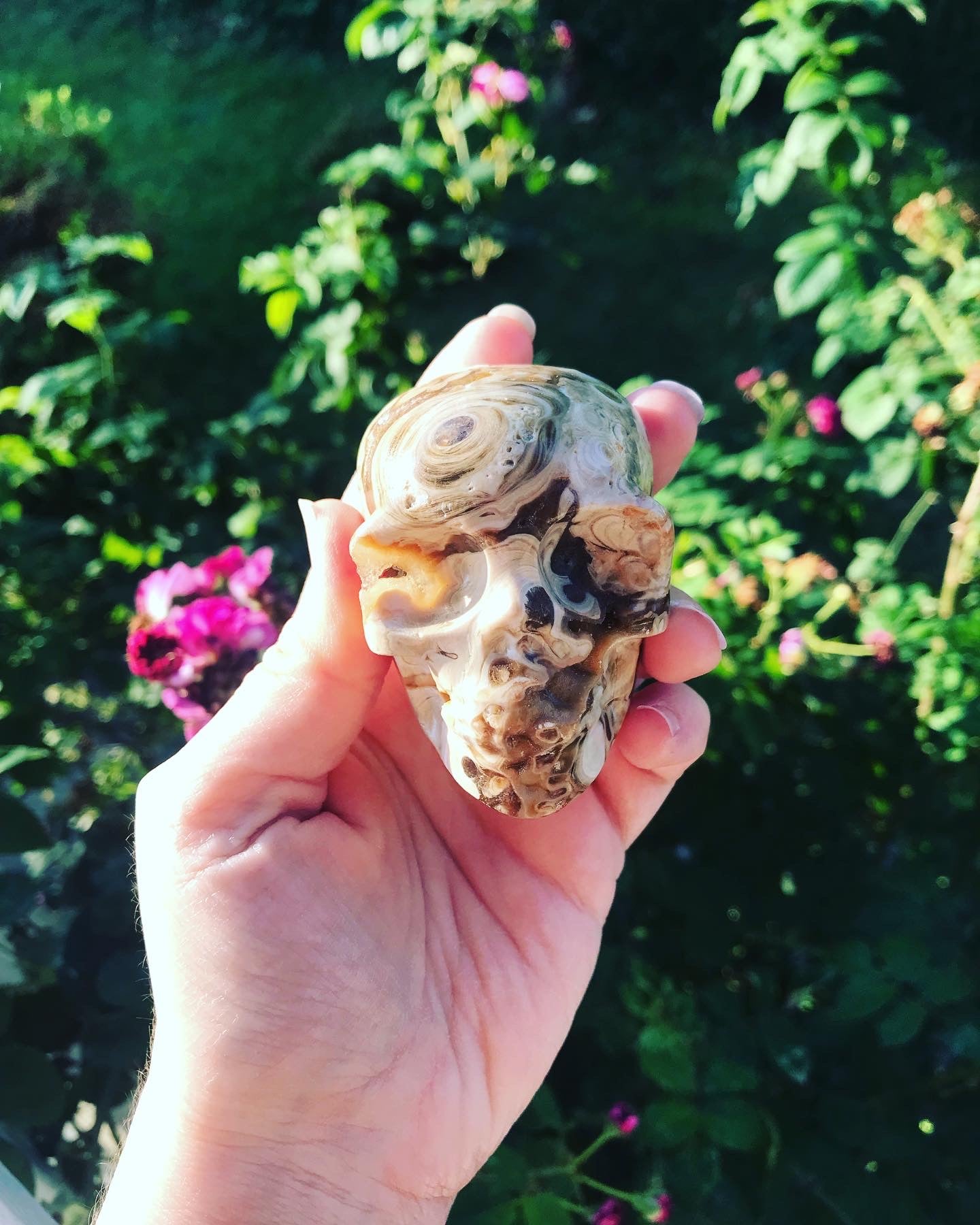 Druzy Chocolate Calcite Skulls