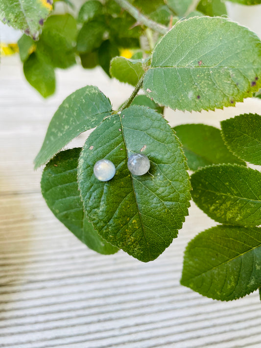 Labradorite Earrings