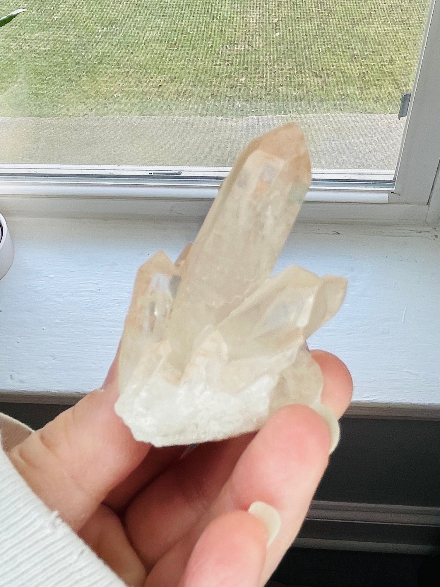 Clear Quartz Cluster