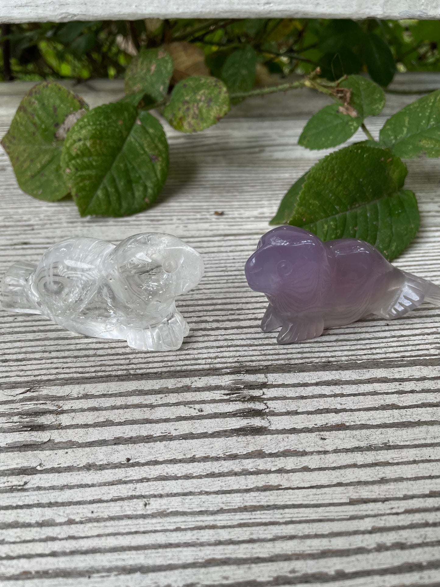 Crystal Seals