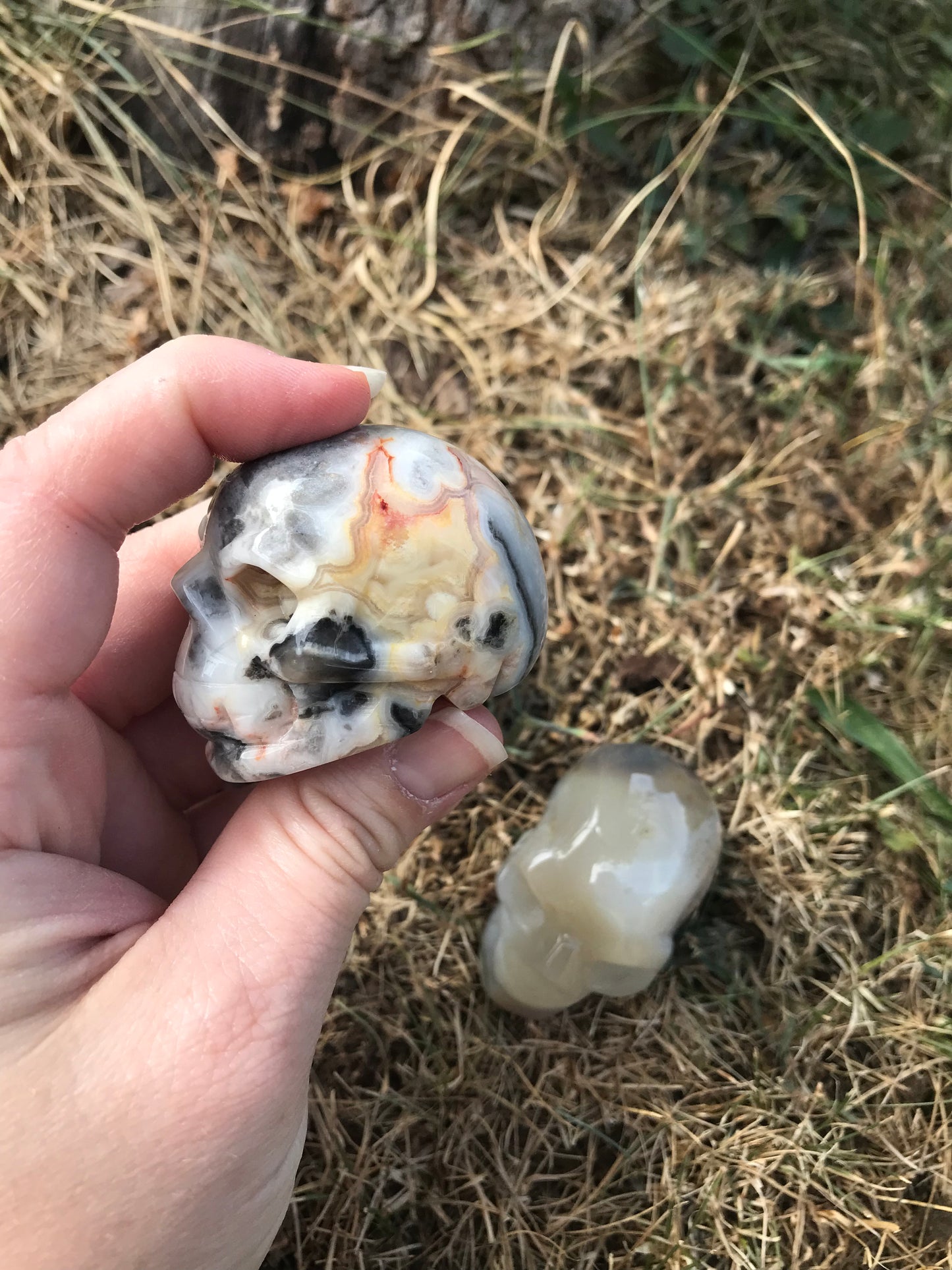 Crazy Lace Agate Skull