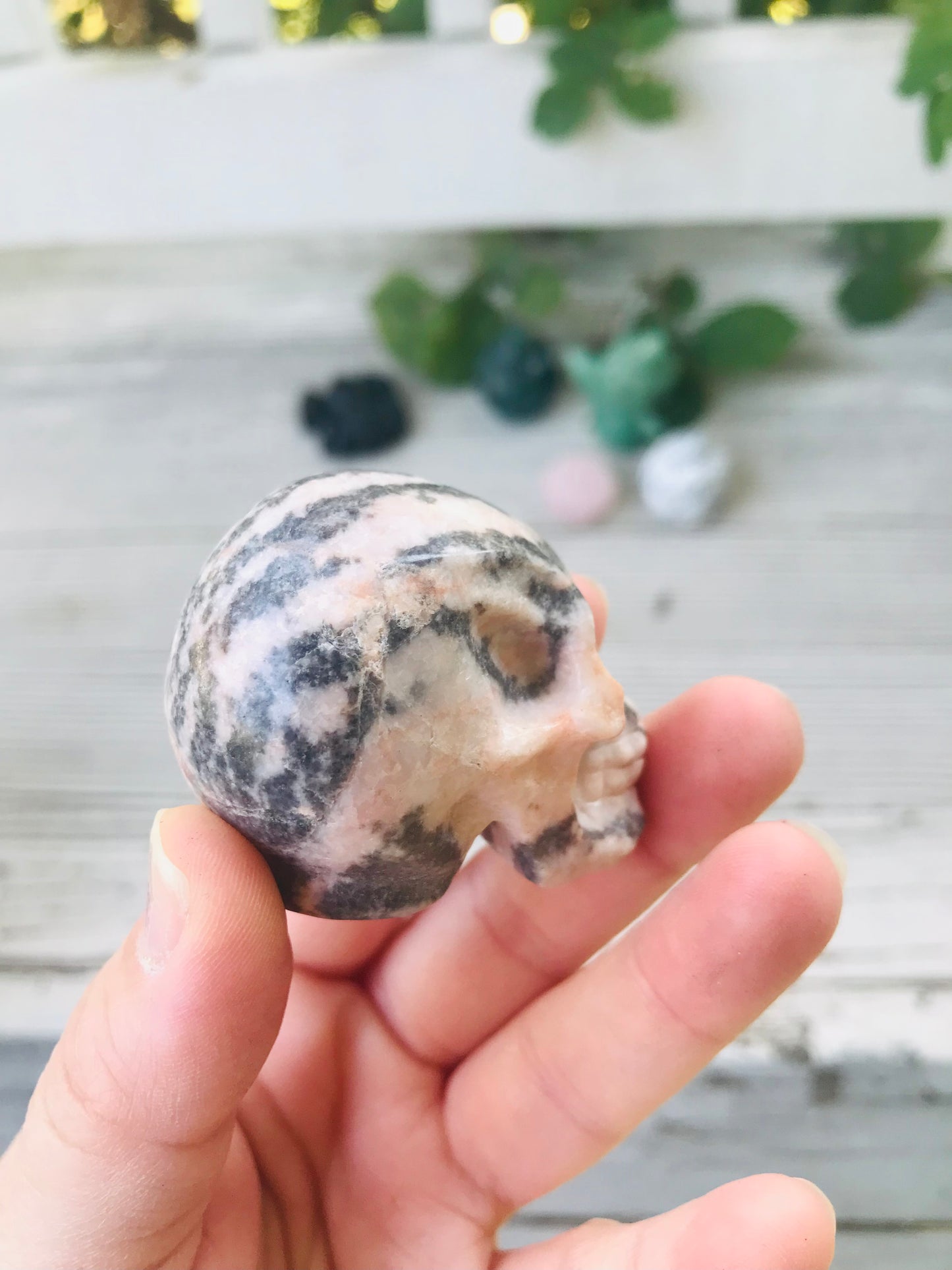 Pink Zebra Jasper Skull