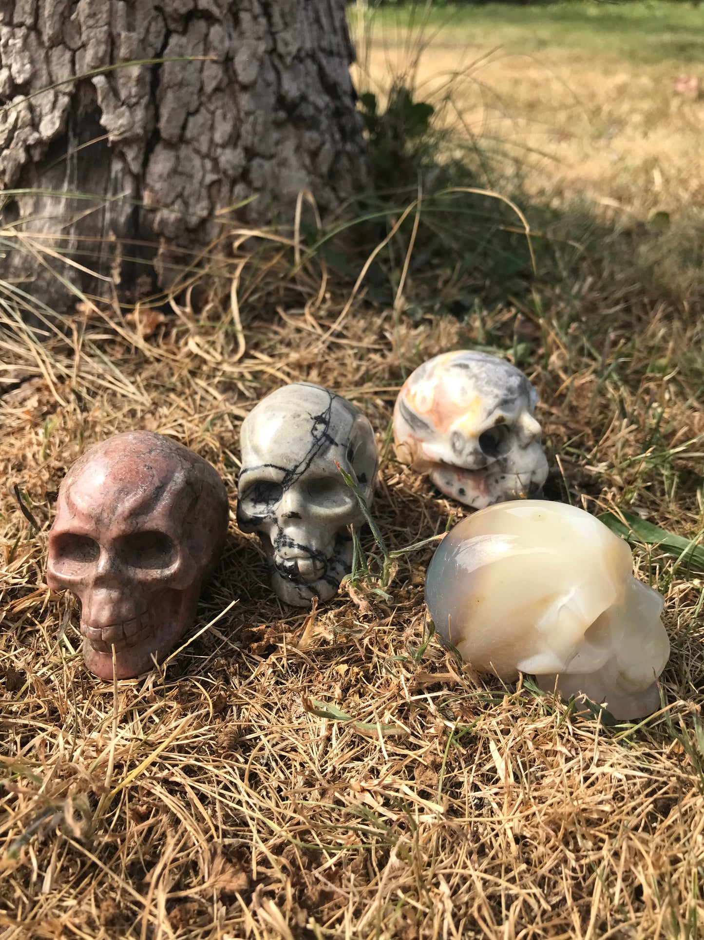 Agate Skull