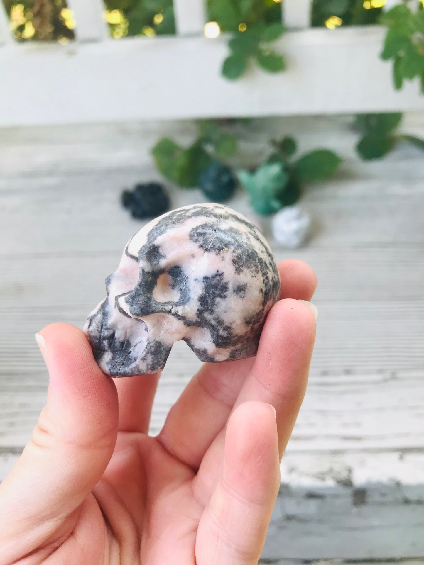 Pink Zebra Jasper Skull