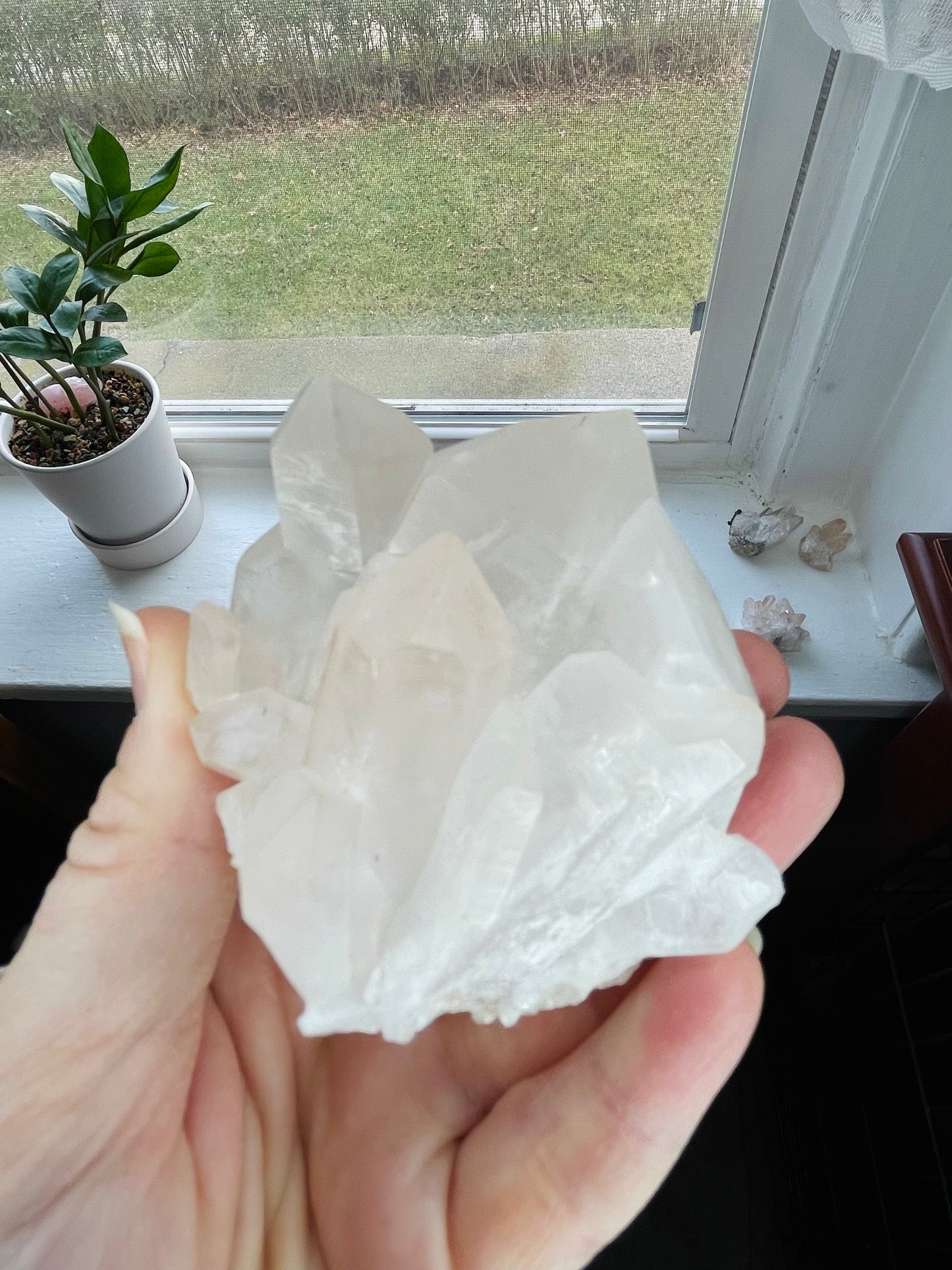 Clear Quartz Cluster