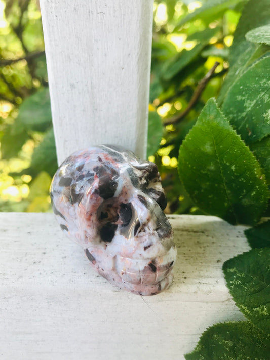 Mexican Crazy Lace Agate Skull