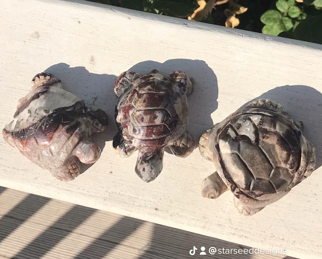 Mexican Crazy Lace Agate Turtles