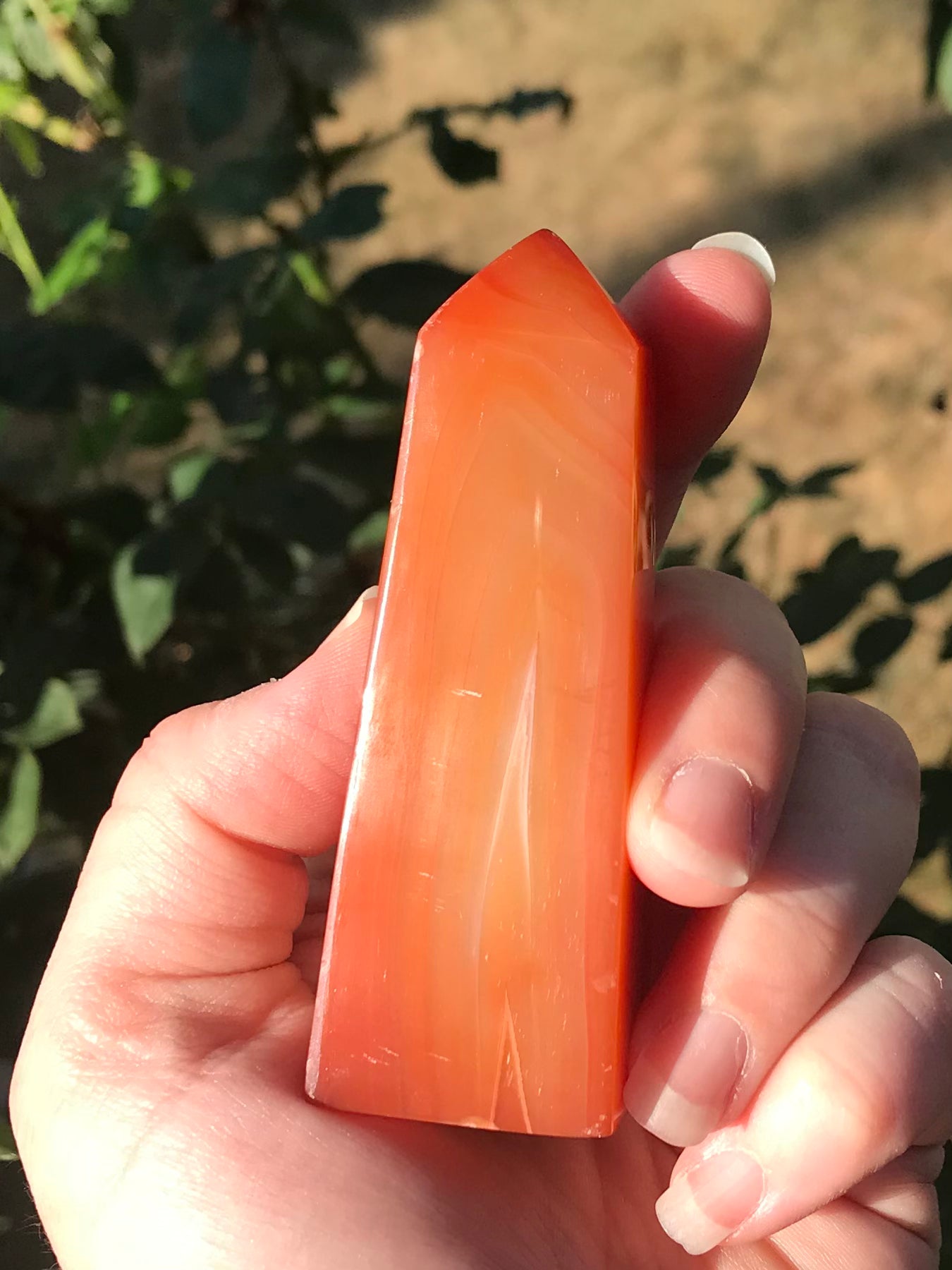 Carnelian Towers