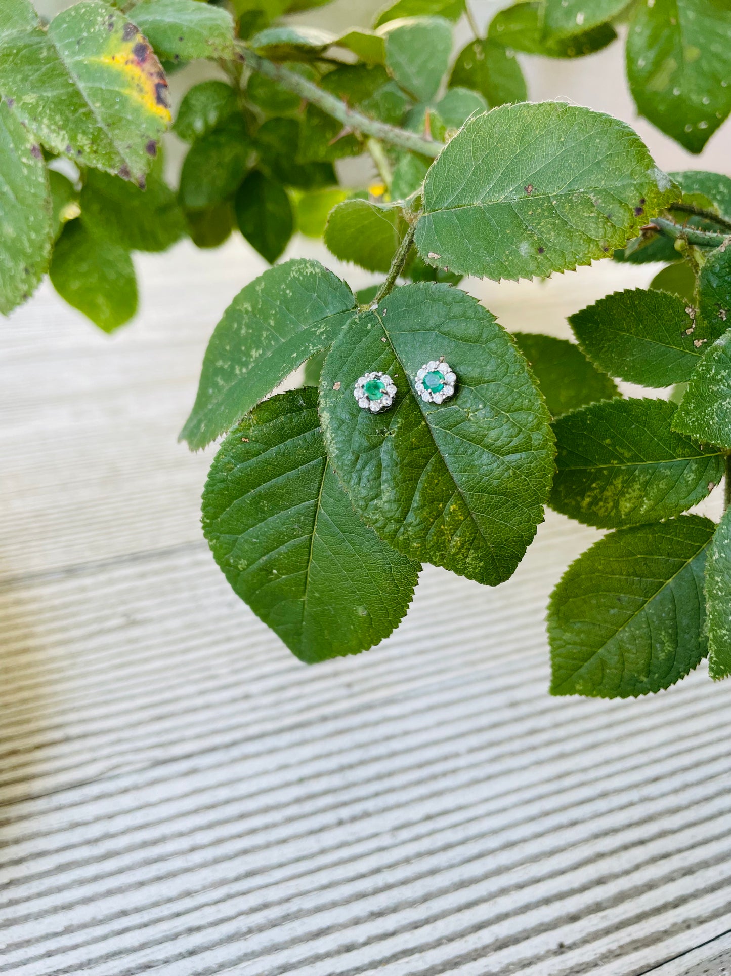 Emerald Earring