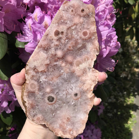 Pink (Amethyst) Flower Agate Slab