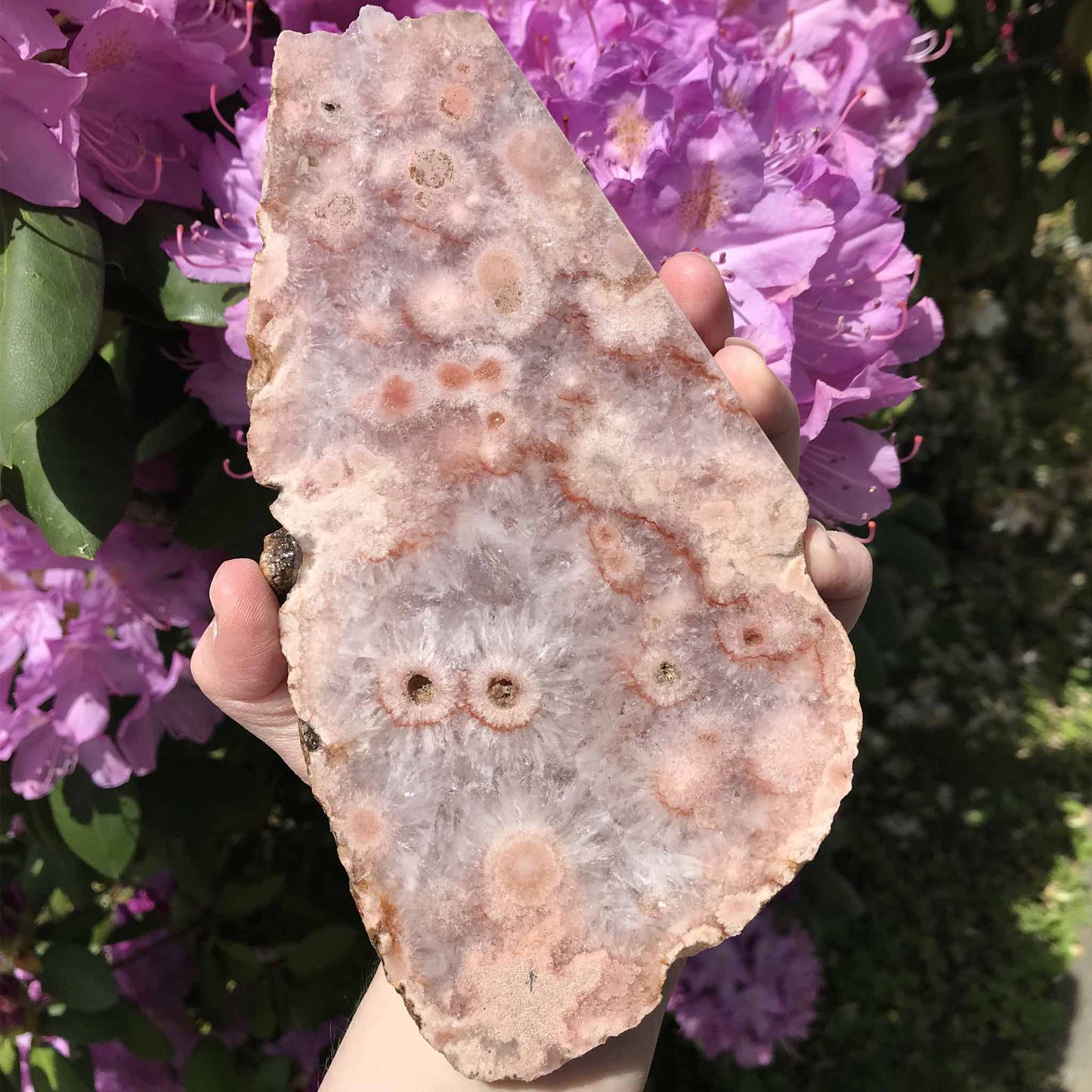 Pink (Amethyst) Flower Agate Slab