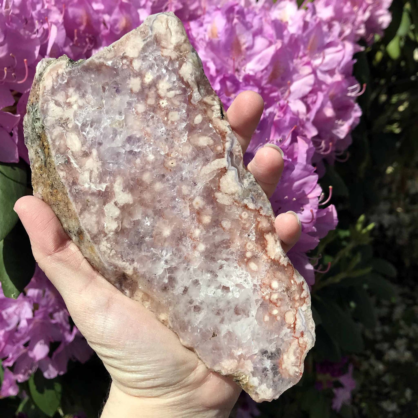 Pink (Amethyst) Flower Agate Slab