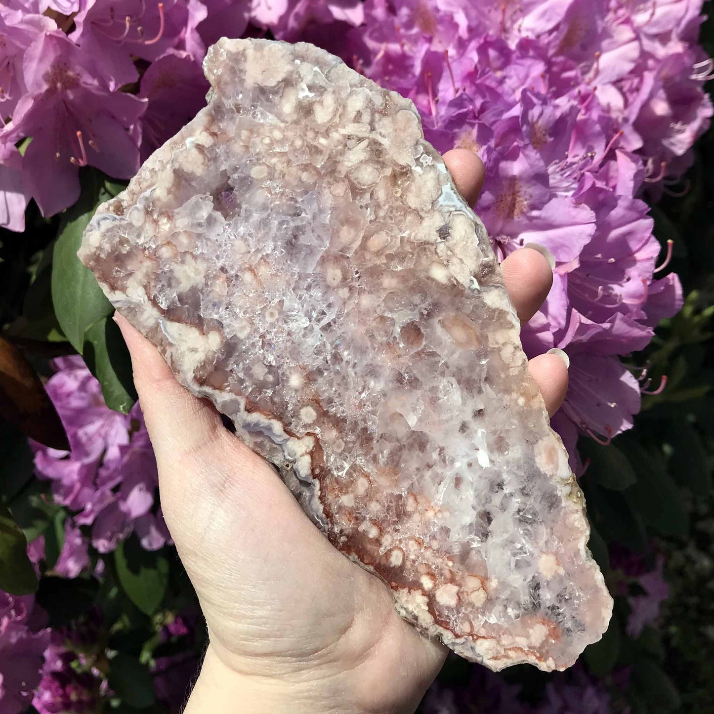 Pink (Amethyst) Flower Agate Slab