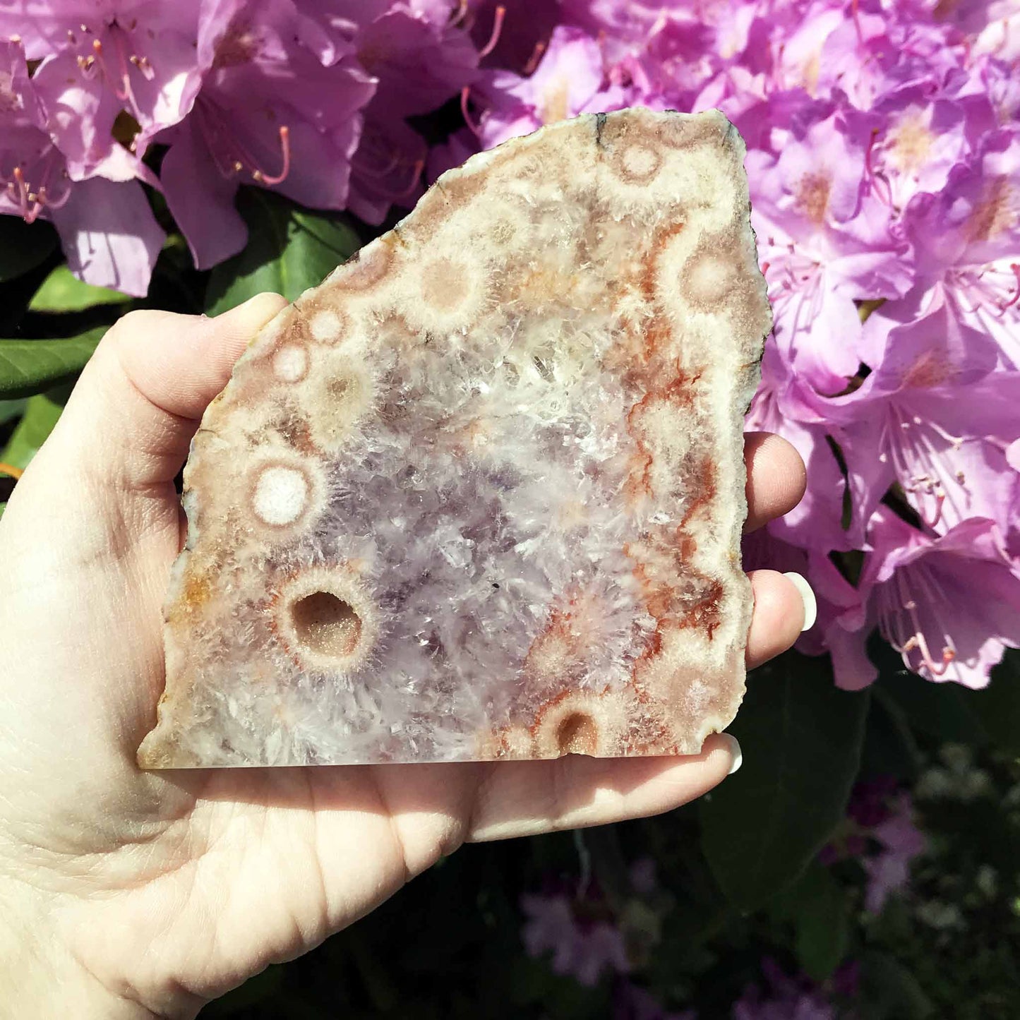 Pink (Amethyst) Flower Agate Slab