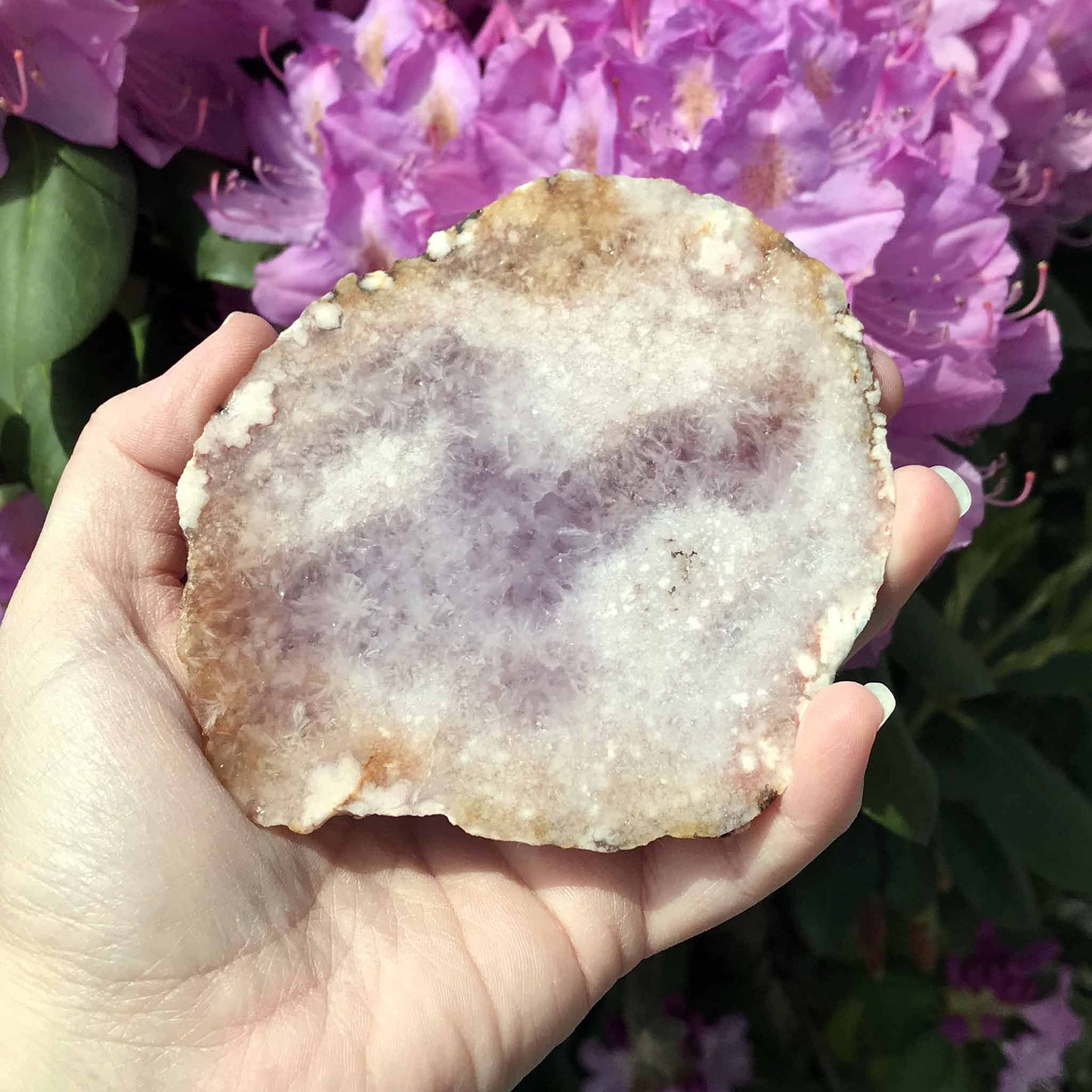 Pink (Amethyst) Flower Agate Slab