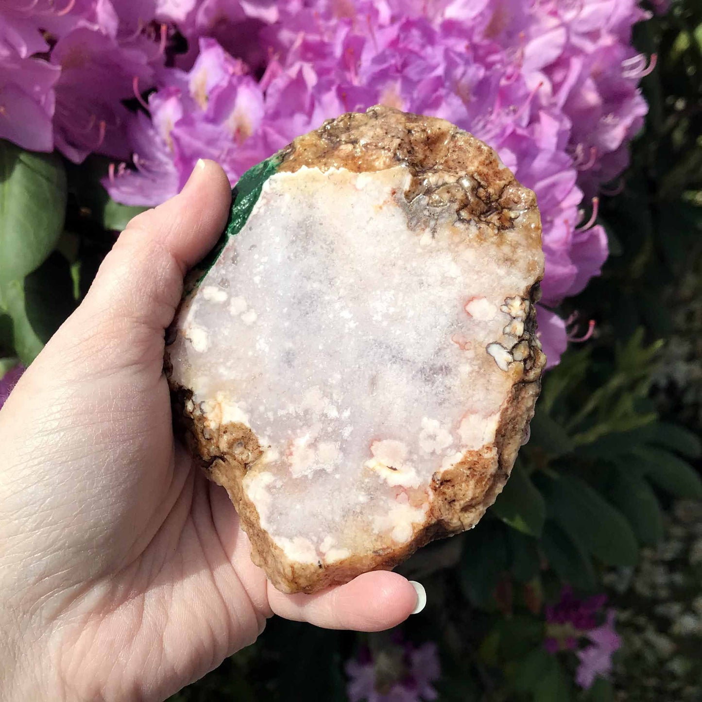 Pink (Amethyst) Flower Agate Slab