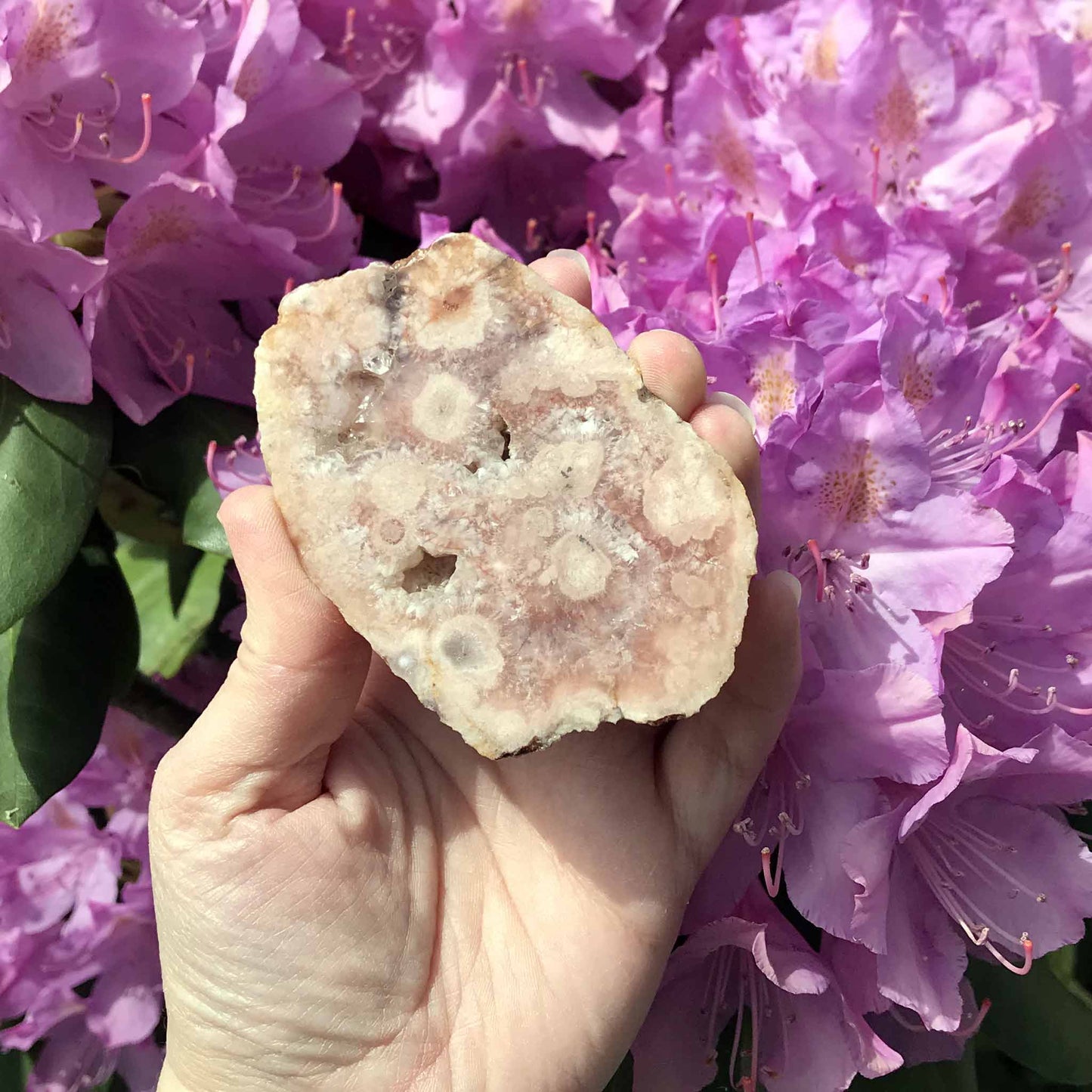 Pink (Amethyst) Flower Agate Slab