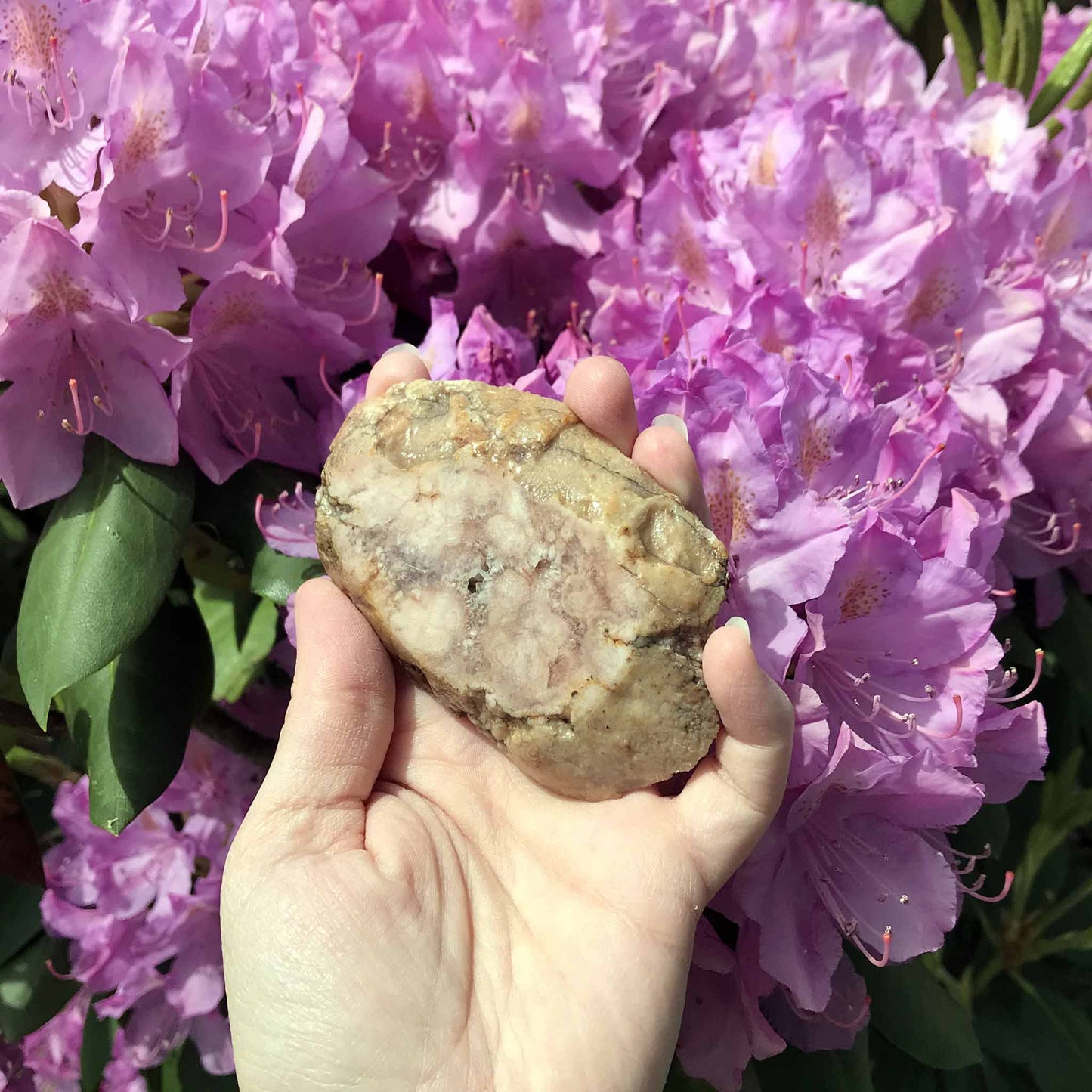 Pink (Amethyst) Flower Agate Slab