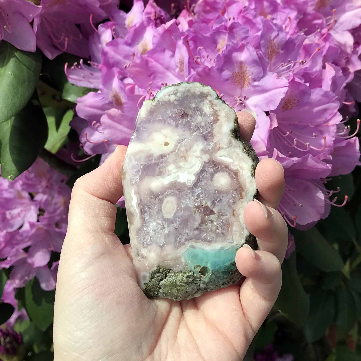 Pink (Amethyst) Flower Agate Slabs