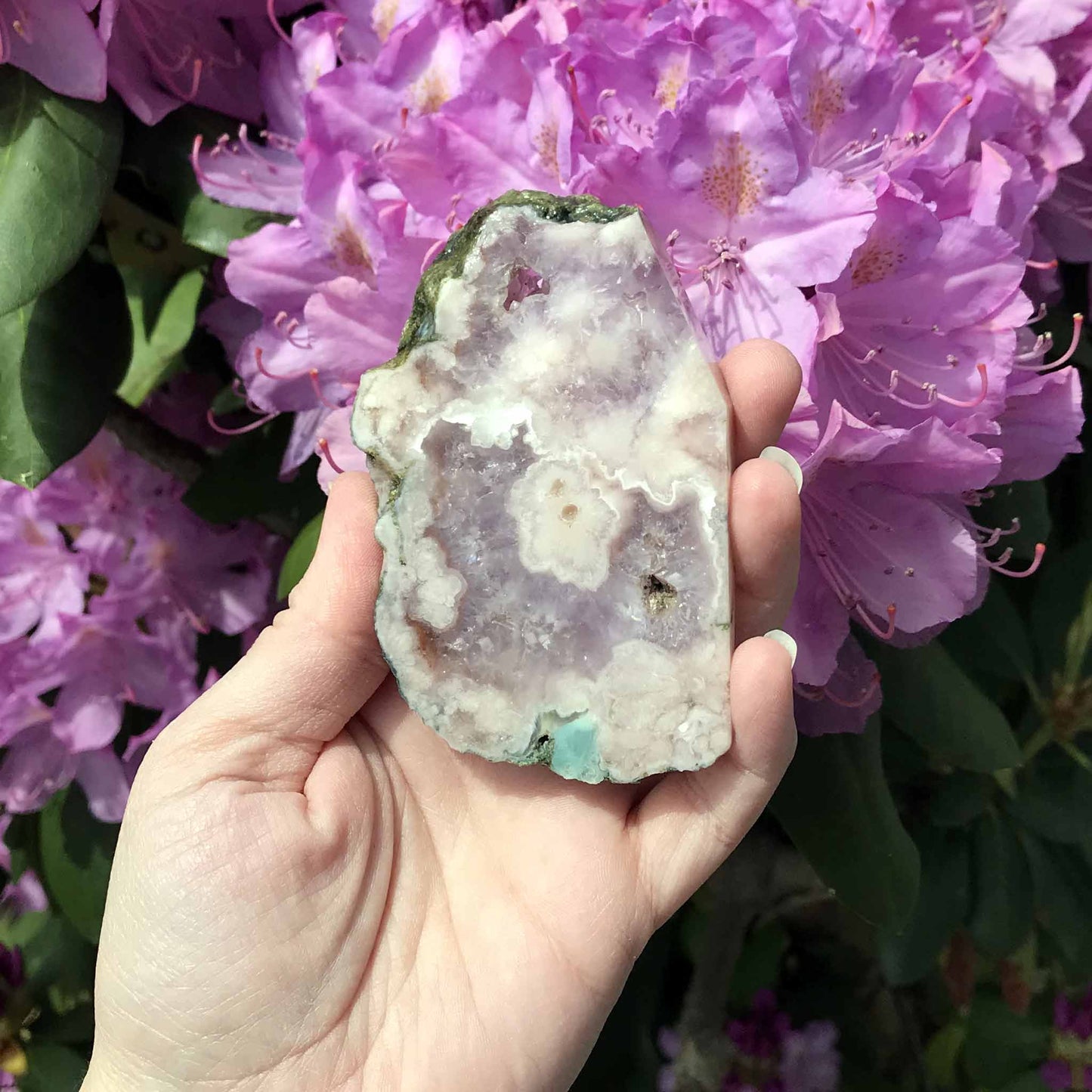 Pink (Amethyst) Flower Agate Slabs