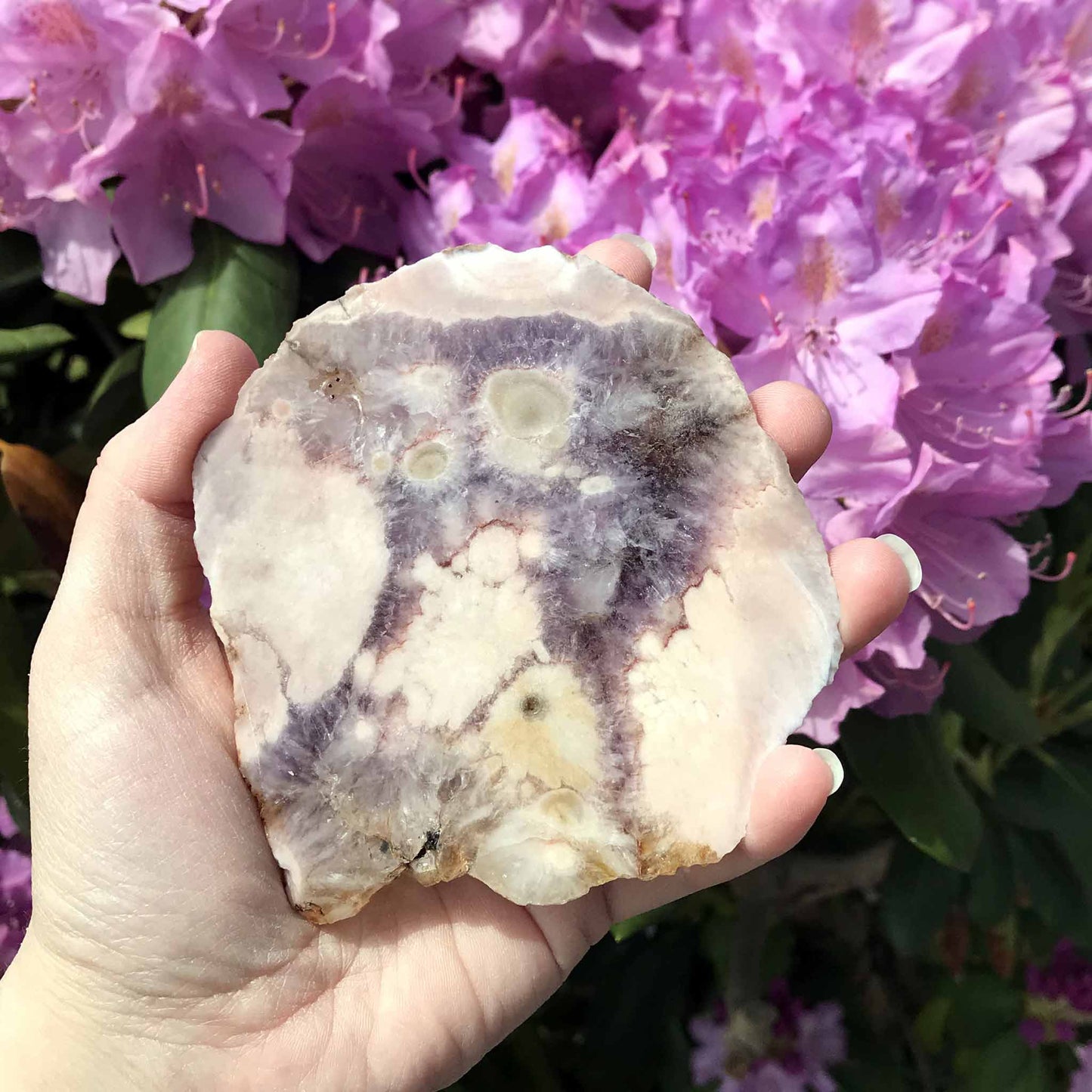 Pink (Amethyst) Flower Agate Slabs