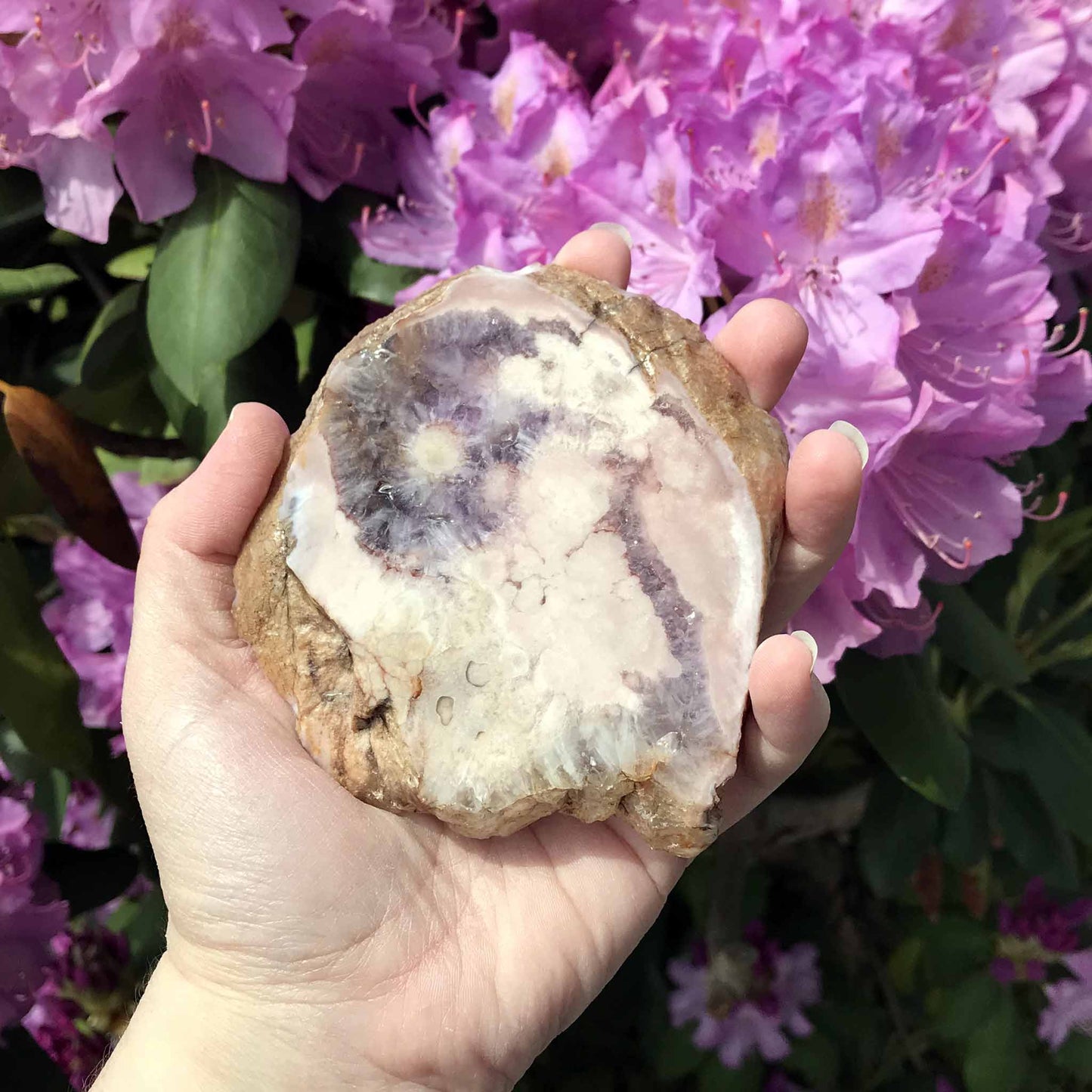 Pink (Amethyst) Flower Agate Slabs